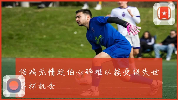 伤病无情廷伯心碎难以接受错失世界杯机会