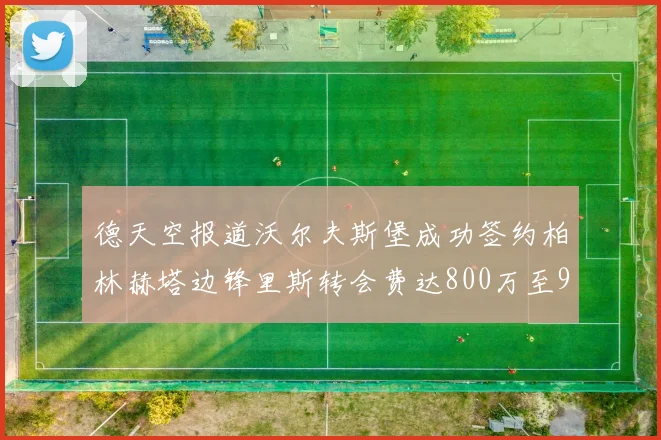 德天空报道沃尔夫斯堡成功签约柏林赫塔边锋里斯转会费达800万至900万欧元