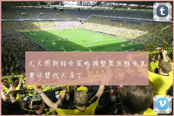 尤文图斯转会策略调整聚焦维卡里奥以替代大马丁